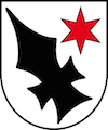 Umzug Aesch Wappen Baselland