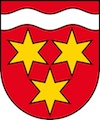 Umzug Birsfelden Wappen