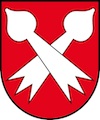 Umzug Bottmingen Wappen