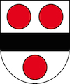 Umzug Burg im Leimental Wappen Baselland