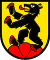 Umzug Duggingen Wappen Baselland