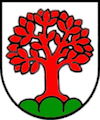 Umzug Schönenbuch Wappen Baselland