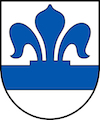 Umzug Pfeffingen Wappen Baselland