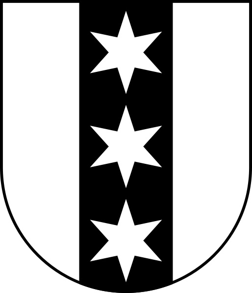 Möbellift Basel Binningen Wappen