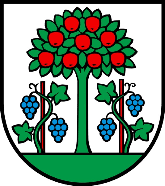 Möbellift Basel Magden Wappen