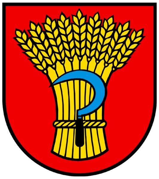 Möbellift Mieten Möhlin Wappen